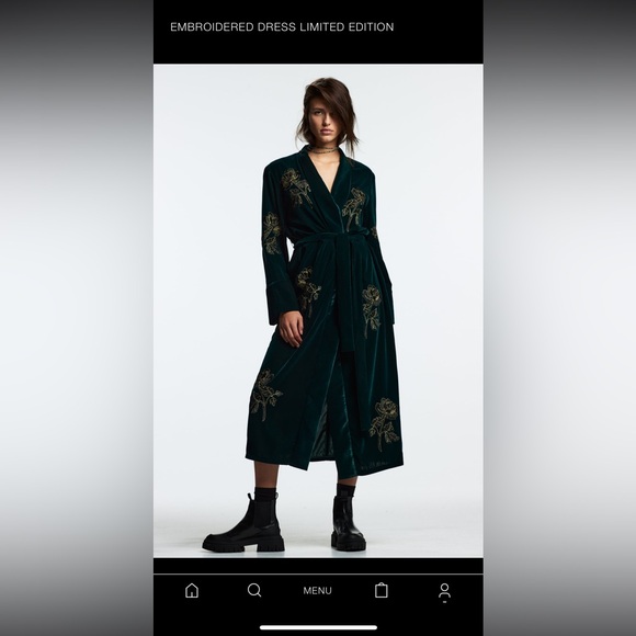 Zara Green Velvet Embroidered Dress - Picture 2 of 3